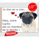 Carlin fauve beige sable, sticker autocollant "membre de la famille" adhésif coeur idée cadeau chien