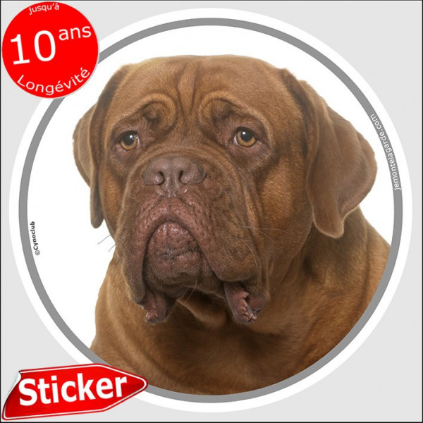 Dogue de Bordeaux masque rouge, sticker autocollant rond "photo" intérieur ou Extérieur adhésif face fauve marron disque