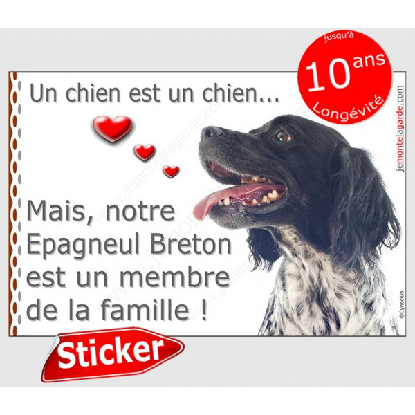Sticker autocollant "Love" 16 x 11 cm, Epagneul Breton noir Tête, intérieur/Extérieur adhésif coeur membre de la famille photo