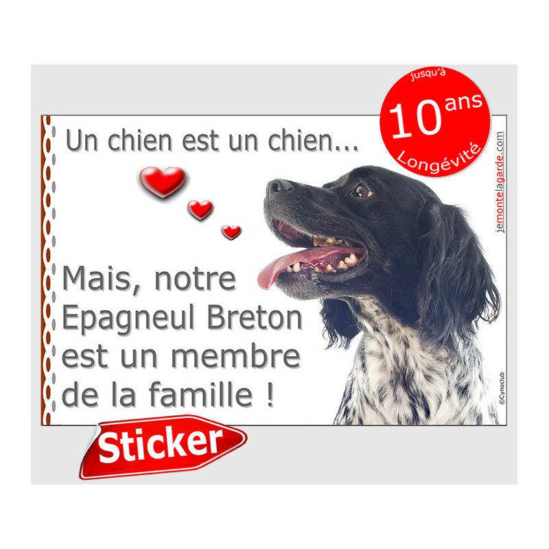 Sticker autocollant "Love" 16 x 11 cm, Epagneul Breton noir Tête, intérieur/Extérieur adhésif coeur membre de la famille photo Sticker autocollant "Love" 16 x 11 cm, Epagneul Breton noir Tête, intérieur/Extérieur adhésif coeur membre de la famille photo