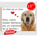 Golden Retriever Tête, sticker "Love" 16 x 11 cm, intérieur/Extérieur