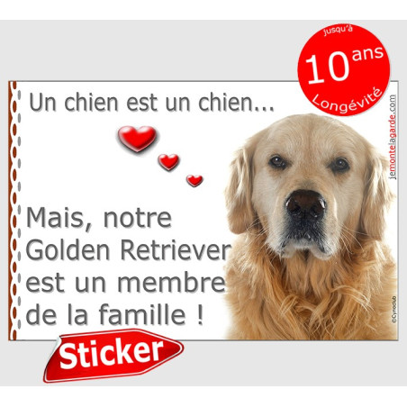 Sticker autocollant photo "Notre Golden Retriever est un membre de la famille" adhésif, résiste pluie soleil gel, idée cadeau
