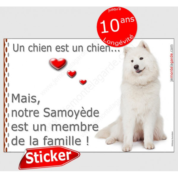 Samoyède assis, sticker autocollant "Love" 16 x 11 cm, intérieur/Extérieur adhésif voiture photo chien