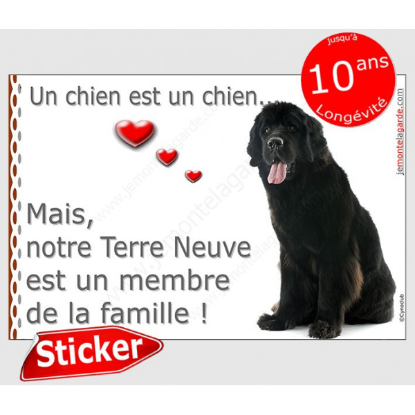 Terre Neuve noir assis, sticker autocollant "Love" 16 x 11 cm, intérieur/Extérieur adhésif photo chien coeur