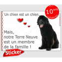 Terre Neuve, panneau sticker photo "Love" 16 cm