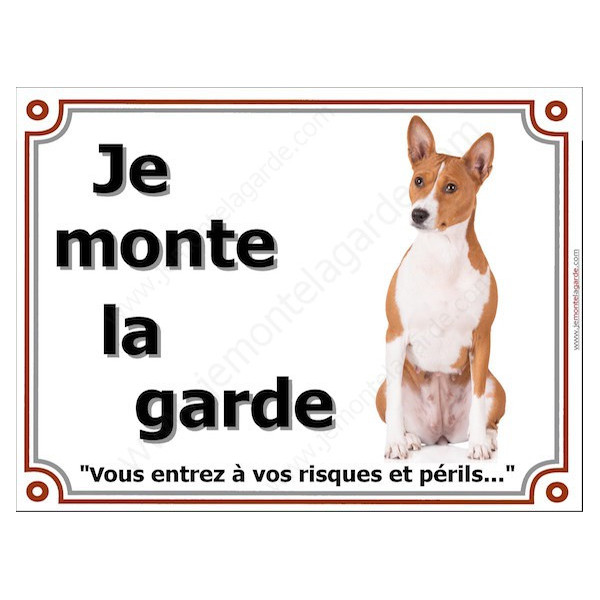 Basenji fauve marron Assis, plaque portail "Je Monte la Garde, risques périls" pancarte panneau photo Bassenji