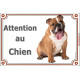 Plaque portail Attention au Chien, Bulldog Anglais fauve marron Assis, pancarte panneau photo
