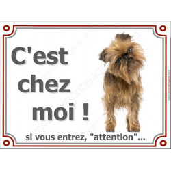 Griffon Bruxellois, Plaque portail C'est Chez Moi ! panneau affiche pancarte, attention chien
