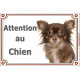 Chihuahua chocolat à poils longsplaque portail "Attention au Chien" pancarte panneau photo Chiwawa marron