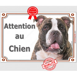 American Bully bringé, plaque portail "Attention au Chien" pancarte entrée, panneau photo race