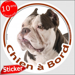 American Bully blanc et marron chocolat, sticker autocollant rond "Chien à Bord" 15 cm, adhésif photo voiture