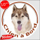 Husky Sibérien fauve doré, sticker autocollant rond "Chien à Bord" Disque adhésif vitre voiture photo