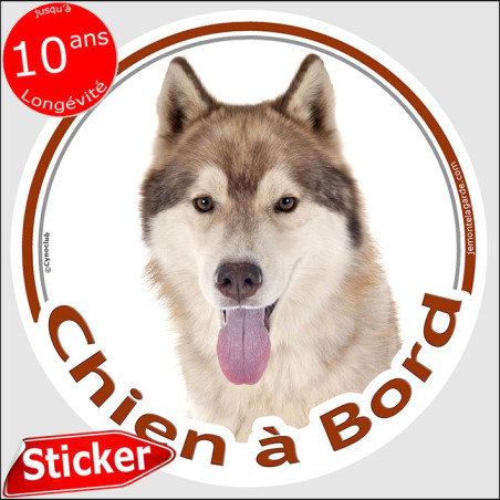 Husky Sibérien fauve doré, sticker autocollant rond "Chien à Bord" Disque adhésif vitre voiture photo, résiste pluie soleil gel,
