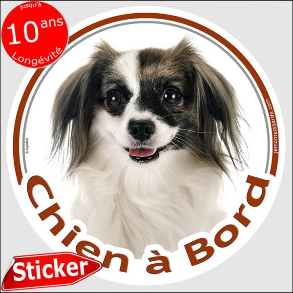 Epagneul Nain Continental Phalène, sticker autocollant rond photo "Chien à Bord" Disque adhésif voiture, résiste pluie soleil ge