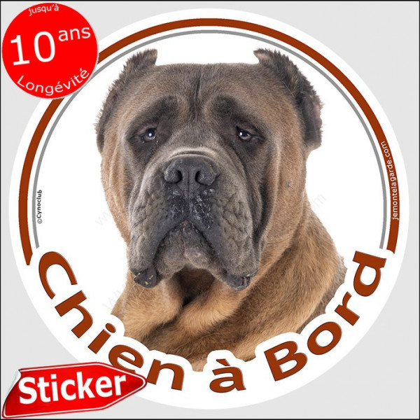 Cane Corso fauve marron, sticker autocollant rond "Chien à Bord" 15 cm, adhésif voiture photo