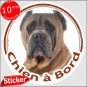 Cane Corso fauve, sticker rond "Chien à Bord" 15 cm