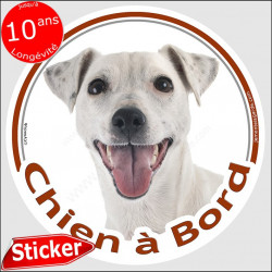 Jack Russell Terrier entièrement blanc, sticker autocollant rond "Chien à Bord" disque adhésif voiture photo