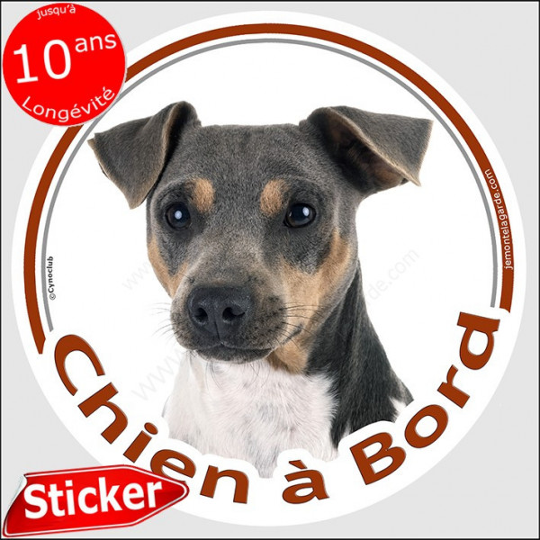 Terrier Brésilien tricolore, sticker autocollant rond "Chien à Bord" 15 cm, adhésif voiture photo