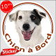 Jack Russell Terrier tout blanc avec un cocard noir, sticker autocollant rond "Chien à Bord" 15 cm adhésif photo voiture