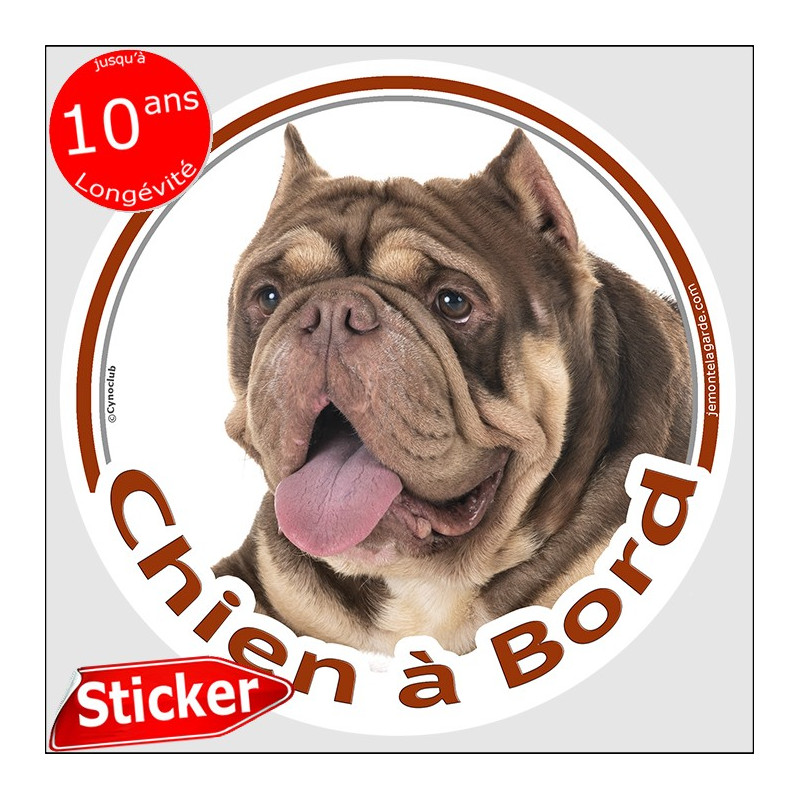American Bully marron chocolat et beige dilué, sticker autocollant voiture rond "Chien à Bord" 15 cm adhésif photo American Bully marron chocolat et beige dilué, sticker autocollant voiture rond "Chien à Bord" 15 cm adhésif photo