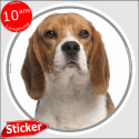 Beagle, sticker rond "photo" 15 cm résistant pluie, soleil, gel