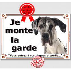 Plaque portail, photo Dogue Allemand Arlequin "Je Monte la Garde risques périls" pancarte Attention au Chien Danois panneau