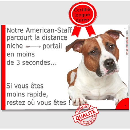 Amstaff fauve, plaque humour "parcourt la distance Niche-Portail en moins de 3 secondes" photo american Staff, résiste pluie sol
