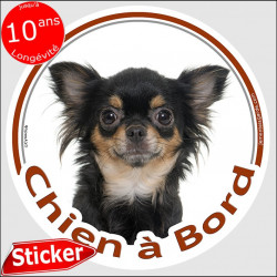 Chihuahua noir et feu poils longs Tête , sticker autocollant rond "Chien à Bord" Disque adhésif vitre voiture photo