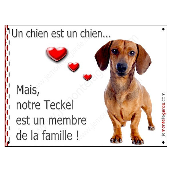 Teckel Poils Ras Fauve, Plaque Portail un chien est un chien, membre de la famille, pancarte, affiche panneau