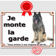 Berger Belge Tervueren assis, plaque portail "Je Monte la Garde, risques et périls" pancarte panneau photo attention au chien