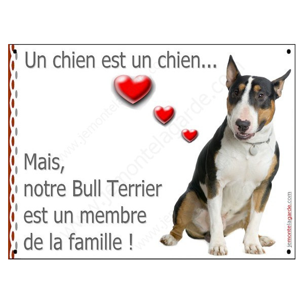 Bull Terrier Tricolore, Plaque Portail un chien est un chien, membre de la famille, pancarte, affiche panneau