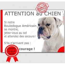 Bouledogue Américain tout blanc, plaque portail humour "Attention au chien, Jetez Vous au Sol, courage" pancarte photo Boulam