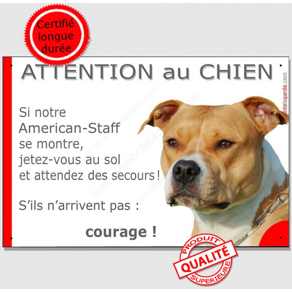Am-Staff fauve et blanc, plaque portail humour," Attention au chien, jetez Vous au Sol, courage" pancarte drôle panneau marrant