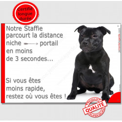 Staffie Noir Assis, Plaque Portail Staffy distance niche-portail 3 secondes, pancarte, affiche panneau drôle marrant humour phot