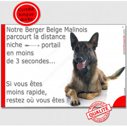 Berger Belge Malinois, plaque humour "parcourt distance Niche-Portail moins 3 secondes, rapide" pancarte photo attention chien