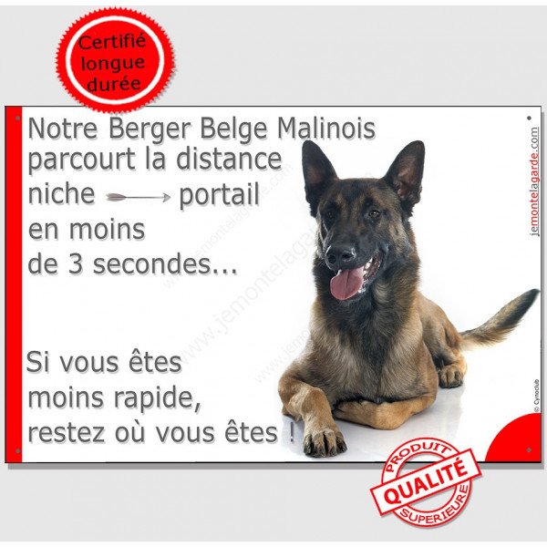 Berger Belge Malinois, plaque humour "parcourt distance Niche-Portail moins 3 secondes, rapide" pancarte photo attention chien