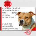 Amstaff Fauve, plaque "distance Niche - Portail" 24 cm 3SEC