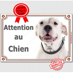 Dogue Argentin Gentil Tête, Plaque portail "Attention au Chien" panneau affiche pancarte photo
