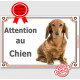  Teckel Poils Longs Fauve, plaque portail horizontal "Attention au chien" pancarte panneau photo
