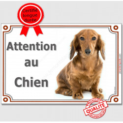 Teckel, plaque portail "Attention au Chien" 2 tailles LUX C