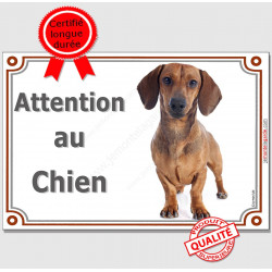 Teckel Poils Ras Fauve, Panneau portail "Attention au Chien" plaque affiche pancarte photo