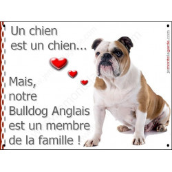 Bulldog Anglais avec Cocard, Plaque Portail "un chien est membre de la famille" pancarte, affiche panneau photo