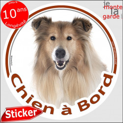 Colley fauve, sticker voiture "Chien à Bord" 2 tailles