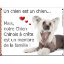 Chien Chinois à Crête, plaque "Membre de la Famille" 16 cm LOV