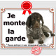 Braque Allemand marron foie, Plaque Portail "Je Monte la Garde, risques et périls" pancarte attention au chien photo race