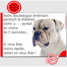 Bouledogue Américain tout blanc plaque humour "parcourt la distance Niche-Portail en moins 3 secondes, rapide" photo, résiste pl