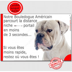 Bouledogue Américain tout blanc plaque humour "parcourt distance Niche-Portail moins 3 secondes, rapide"pancarte photo attention