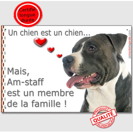 Amstaff noir et blanc Tête, plaque "Membre de la Famille" intérieur/extérieur American Staffordshire Terrier noir panneau