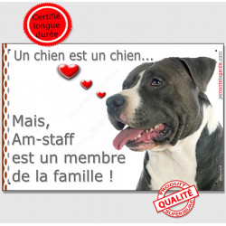 Amstaff, plaque "Membre de la Famille" 24 cm LOVE