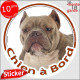 American Bully fauve, sticker autocollant voiture rond "Chien à Bord" Disque adhésif photo